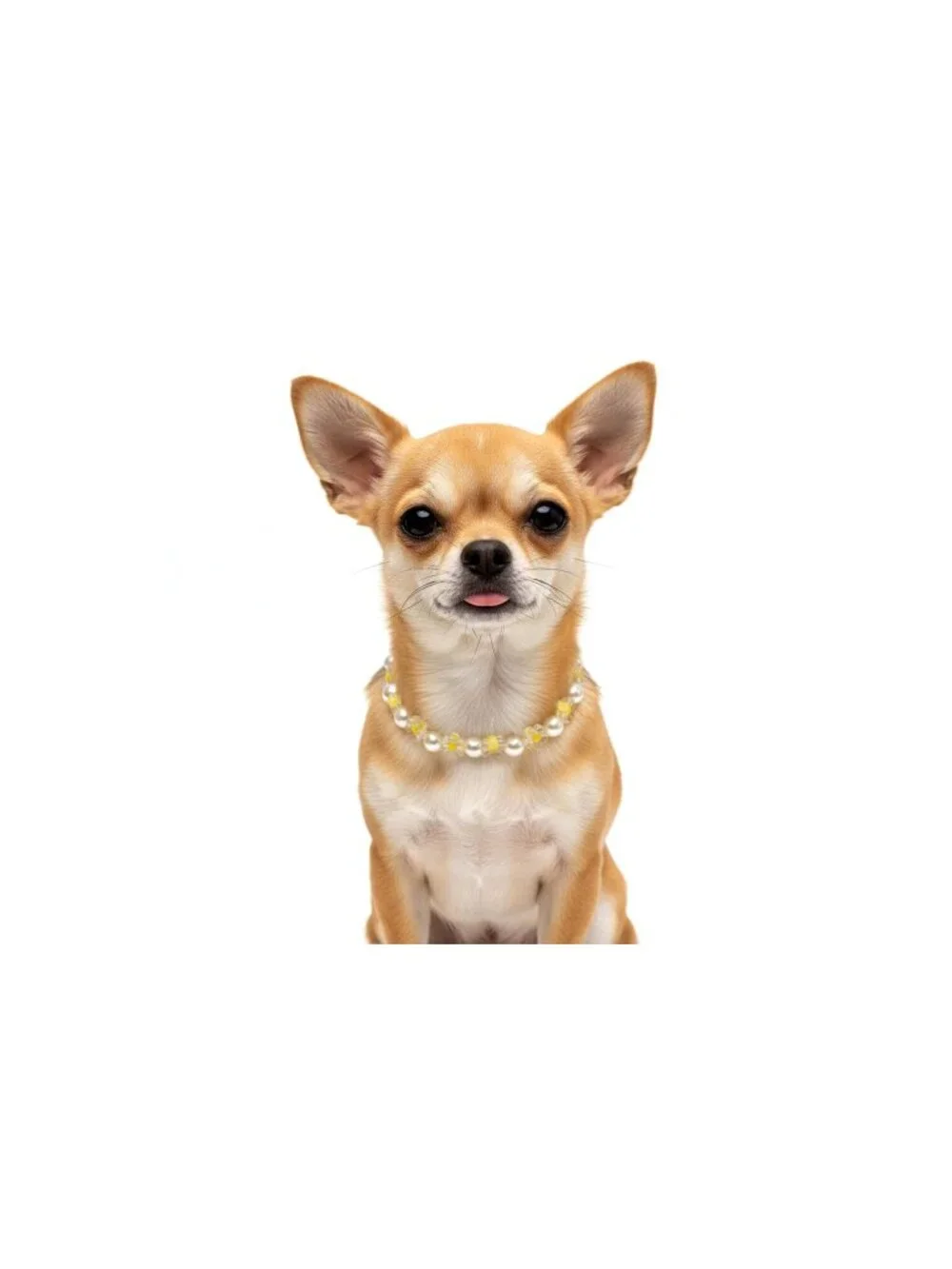 Pearl & Floral Dog Necklace Collar | Small Pet Jewelry